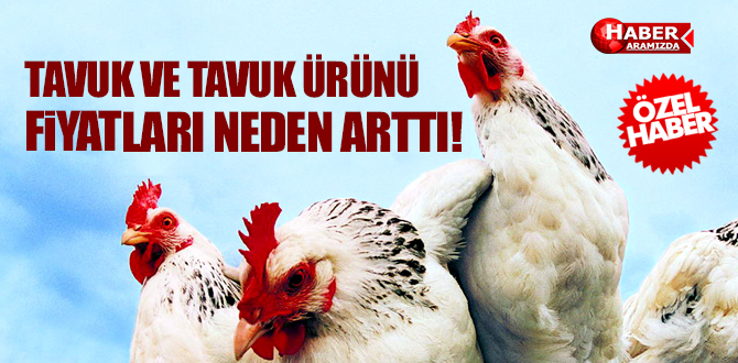 TAVUK VE TAVUK ÜRÜNÜ FİYATLARI NEDEN ARTTI!