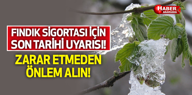 Fındık Sigortası İçin Son Tarihi Kaçırmayın!