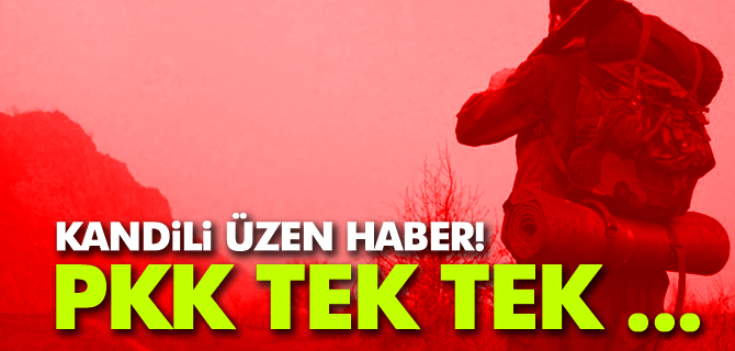 PKK’ya Katılım Azaldı Tek Tek Teslim Oluyorlar!