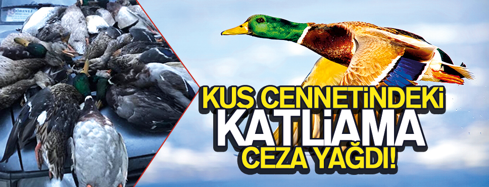 Kuş Cennetinde Ördek Katliamı’na Ceza!